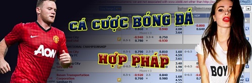 nhà cái uy tín HappyLuke casino online